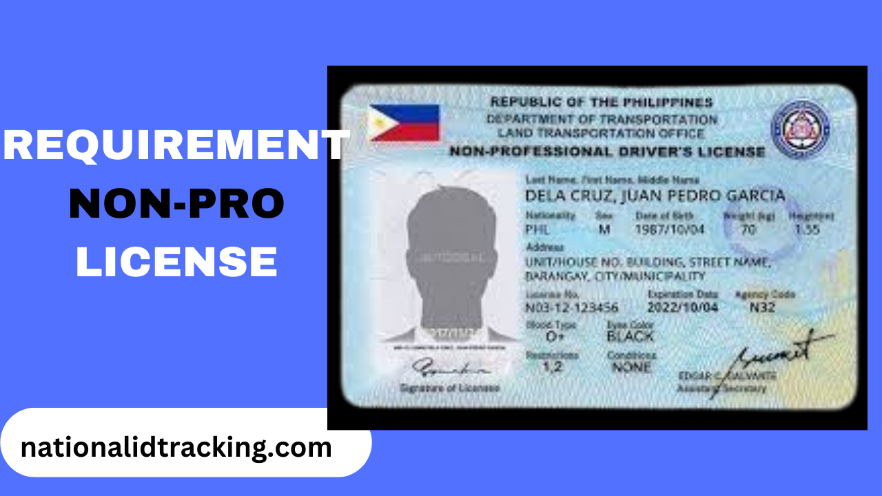 Non-Professional Driver’s License Requirements for Applications