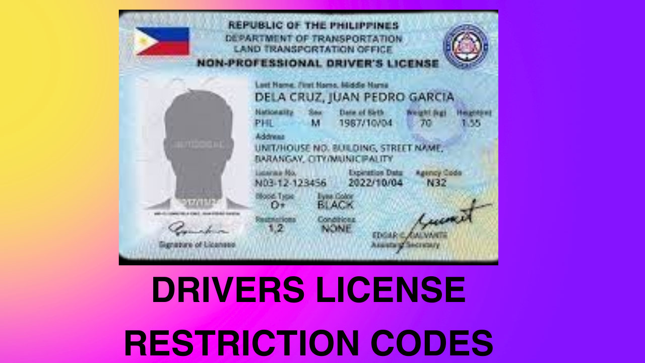drivers-license-restriction-codes