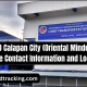 LTO Calapan City (Oriental Mindoro) Office Contact Information and Location